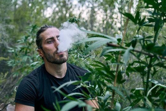 papieros elektroniczny und e liquid schweiz entdecken papieros elektroniczny Vorteile und Trends in der Schweiz